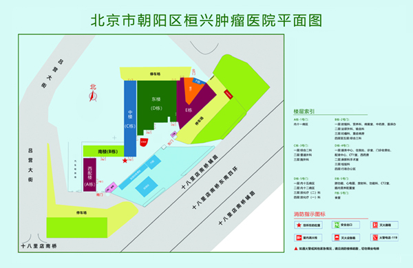 操骚逼视频北京市朝阳区桓兴肿瘤医院平面图